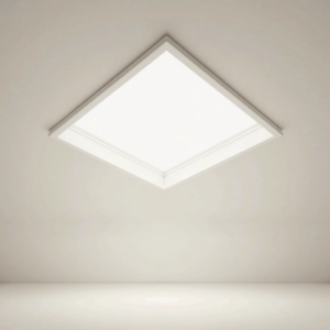 Ceiling Panel